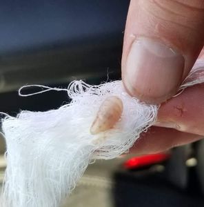 Meet your Posher, Sherry